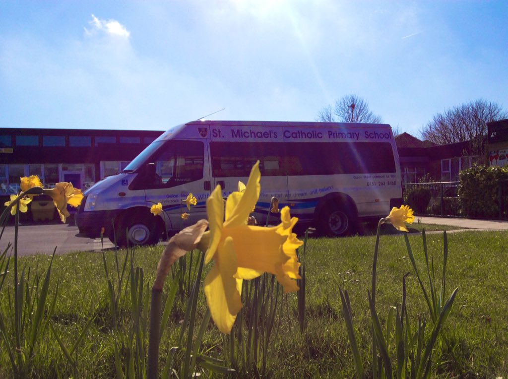 InspirationsStm's tweet photo. The bulbs we planted in autumn have blossomed into beautiful flowers. Patience is a virtue. #STMScience #STMLife #STMY4 #STMSummer https://t.co/qSbVgHYDX5