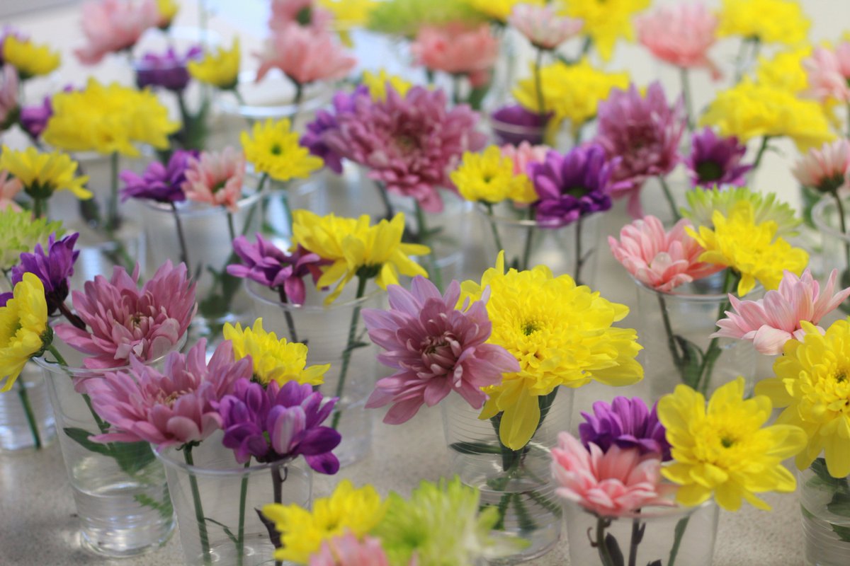 kingswood_photo's tweet image. Year 9 GCSE Fine Art PPE currently in full bloom @Kingswood_Acad @AETAcademies #observationalstudy #thisisgoingtobetough #drawwhatyousee #qualitytakestime #creativitytakescourage