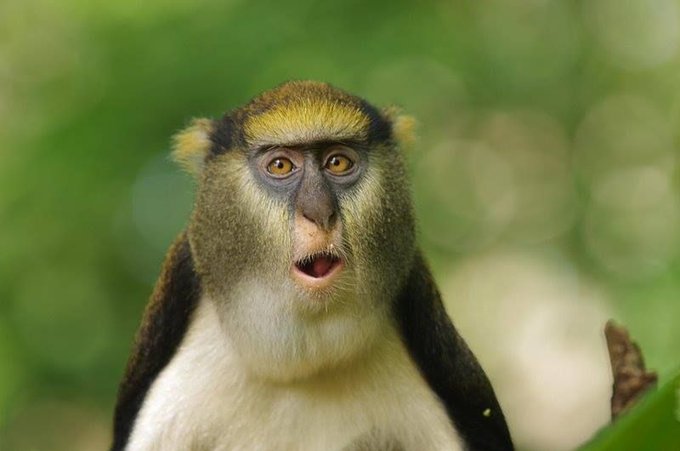 D20w_5tU0AINAt6?format=jpg&name=small