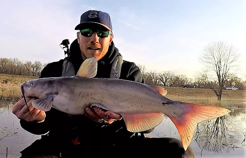 First #iowa open water #catfish of the year! 
#KayakFishing #rivercertified #fishing