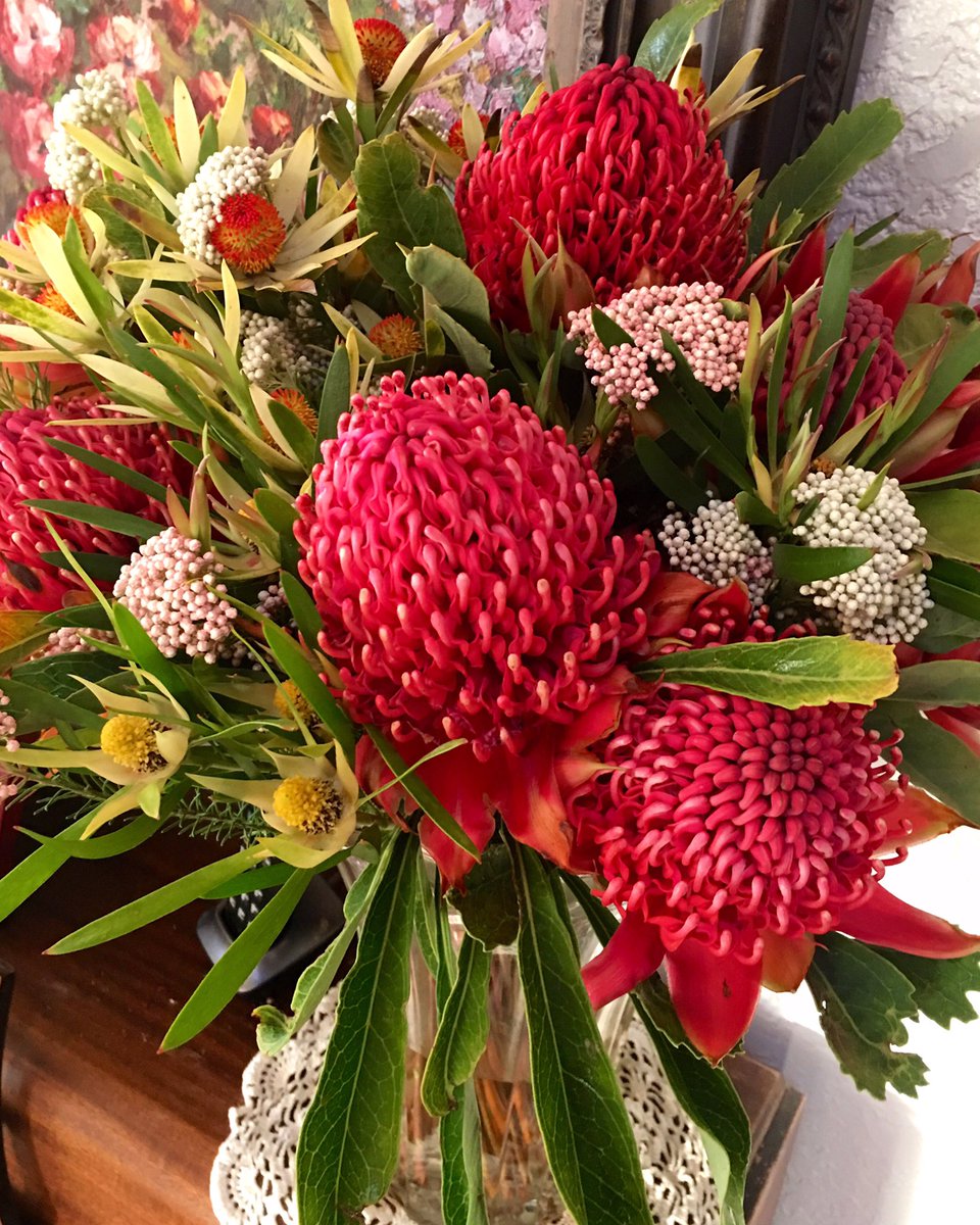 DianaR_Resendiz's tweet image. Nothing warms up a room like flowers 🌸🌿🌺 Happy Friday!
#fridayfeeling #flowers #weekendessentials #protea #waratah #spring #faves #CAGrown