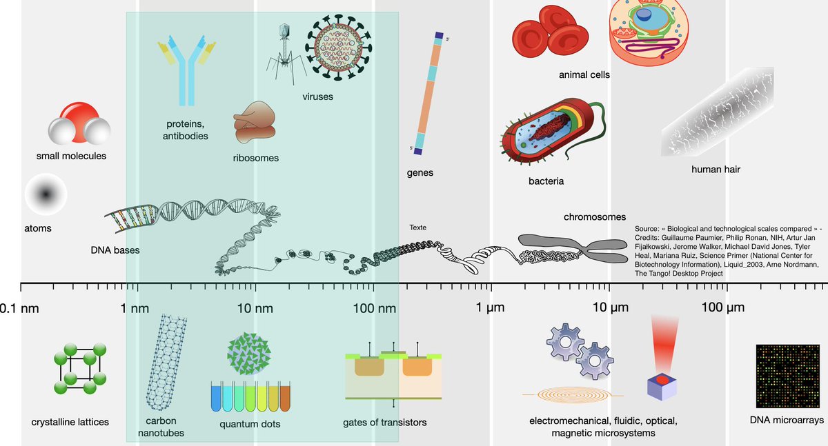 RoyalVoxPost's tweet image. #Nanotech #NanoOptics #OpticalMicroscopy: researchers discover that a nanomaterial -titanium oxynitride- allows a #superlens to reach an ultrahigh spatial resolution of 8 nm and 80 nm in the near-field and far-field, respectively - kpfu.ru/eng/news-eng/n…