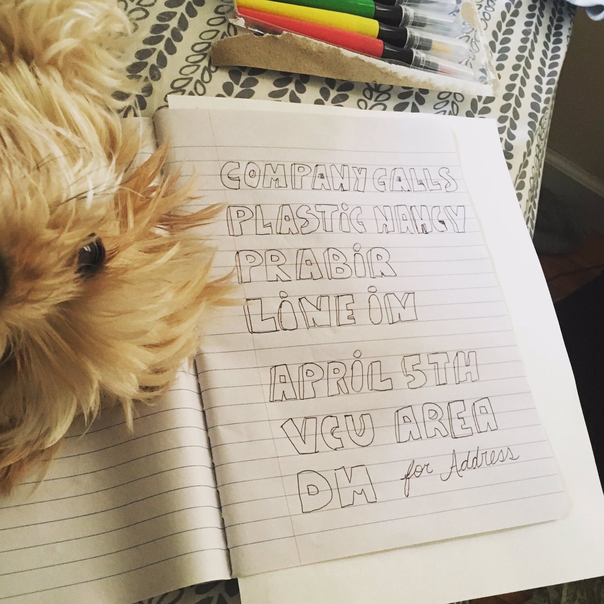 ||| #richmond HOUSE SHOW |||
APRIL 5
with our buddies @plastic_nancy and their buddies @prabirrva and @lineinofficial 

#richmondmusic #music #houseshow #plasticnancy #dcmusicscene  #rockindependiente #sheshreds #asisuenaperu