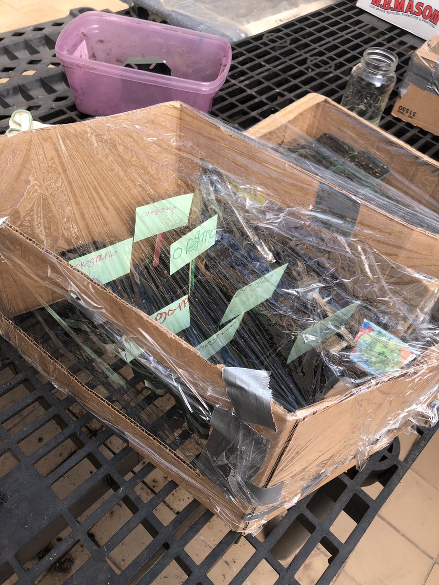 ogles_mrs's tweet photo. Ms. Constantino’s class is learning how to grow plants from seed in our greenhouse #breedteach https://t.co/TJyScNyLEr