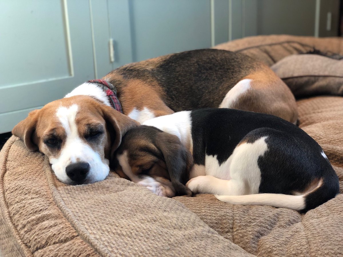 Rest up little one, you have a big day today going to your new home. 🥰