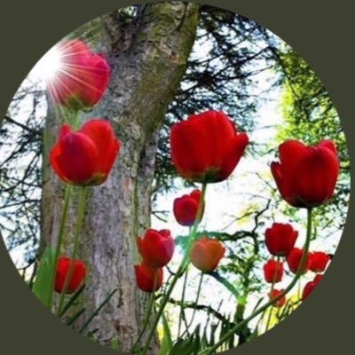 awrdfy's tweet photo. #روعه الإحساس
الابداع
هو 
احساس
قبل
إن 
يكون
ابداع 
قلم
ينقش
حروفه
على
الورق

مجرد ذوق
قلمي https://t.co/hhSdKQj05c