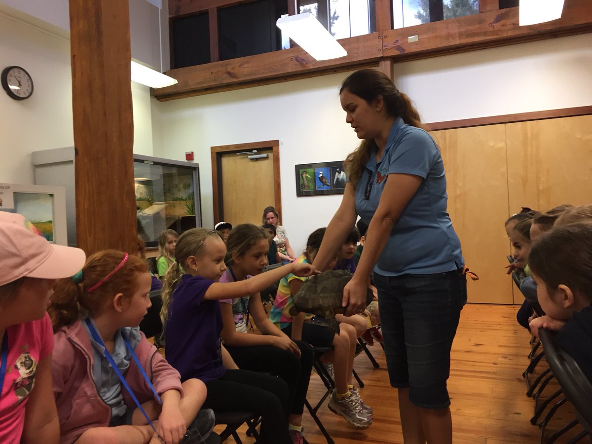 MrsBerlatsky's tweet photo. What a perfect day making perfect memories with some perfect Firsties at Daggerwing Nature Center! #VikingVoyage19 #peacelovefirst #NeverTooOldForFieldTrips https://t.co/fBmYPfJEsp