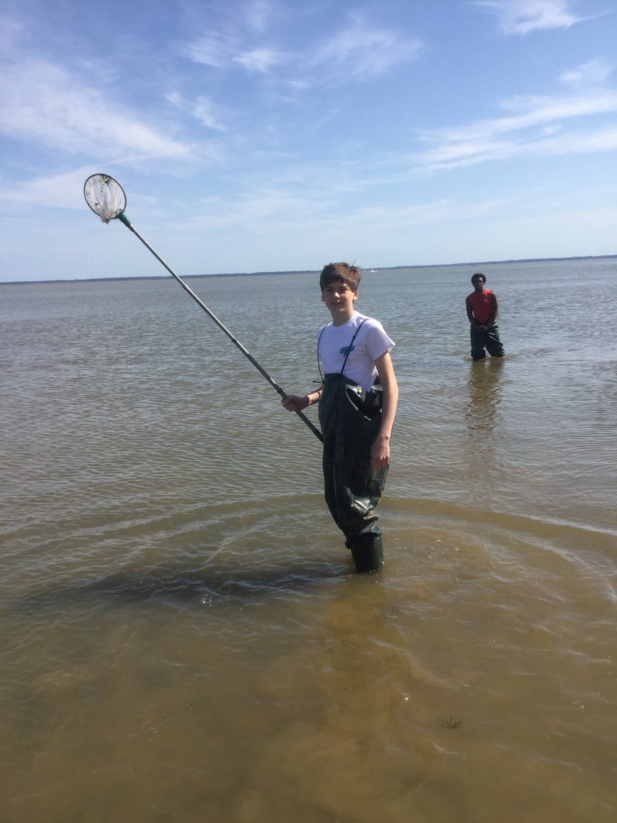 MercerEarth's tweet photo. Water sampling with Ms. Simon’s Earth Science students. https://t.co/BTFI56QVcz