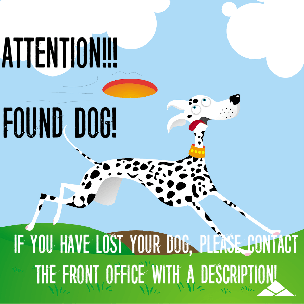 ArbaSanMarcos's tweet photo. LOST DOG: FOUND!
If you or anybody you know has lost their dog please contact the front office as soon as possible, or e-mail us at aura@peakcampus.com https://t.co/EMRfy3t6uY