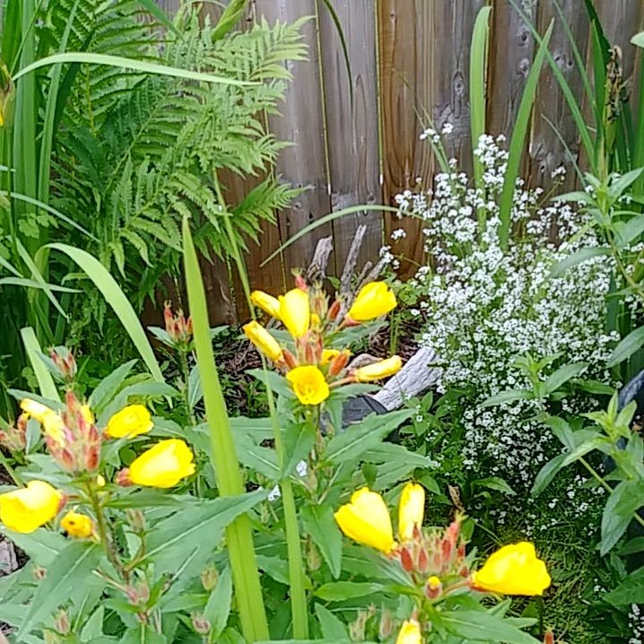 flowerkeepers's tweet photo. Happy Friday my friends! Be kind and share your smile with everyone you see today! Brighten their day and yours!! Flowerkeeper 💐
.
.
.#FridayFeeling #FridayMotivation #FridayThoughts #FridayMorning #makeadifference #flowers #flower #Flowerkeeper #flowerpower #flowerphotography https://t.co/JZRvEPvnaO