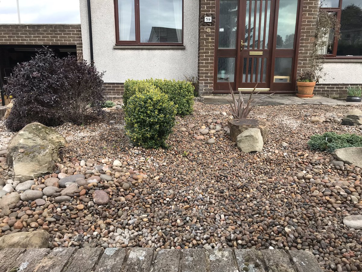 Happy fishes today in their new home 💧🐟 #pond #frontgardenmakeover #aquaticlandscaping