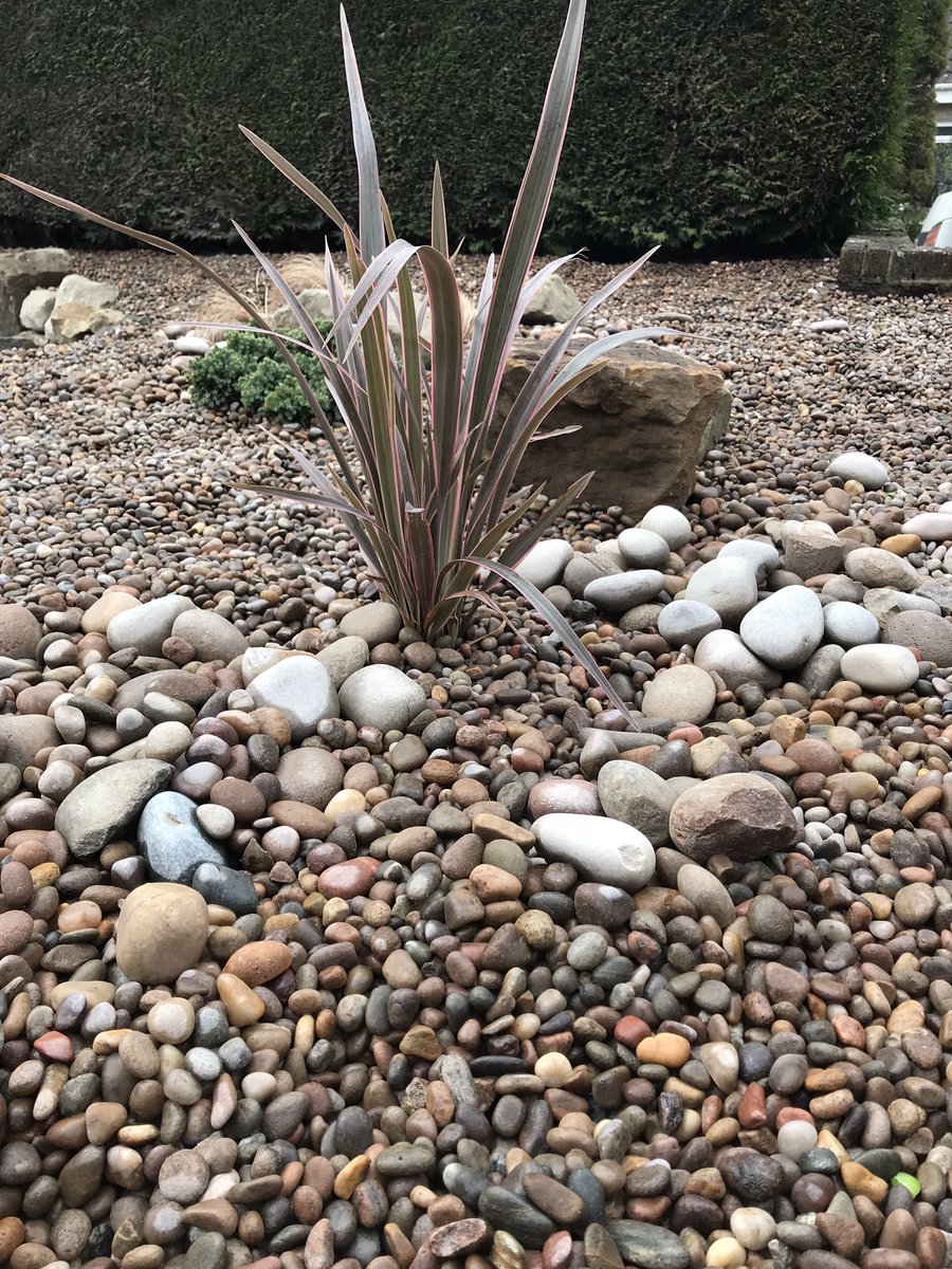 almondlandscape's tweet photo. Happy fishes today in their new home 💧🐟 #pond #frontgardenmakeover #aquaticlandscaping https://t.co/nNMieKisg0
