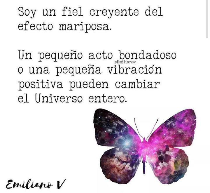 Fabiola Rosas C. tweet media