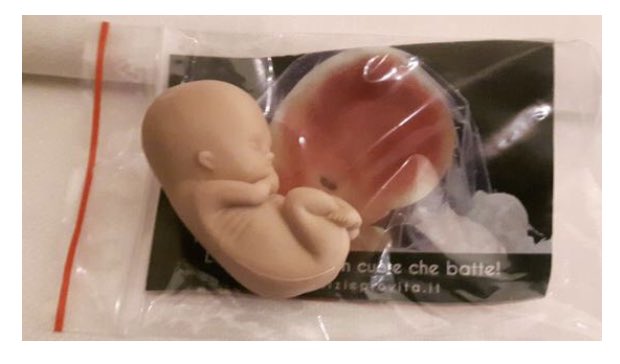 Visualizza l'immagine su Twitter