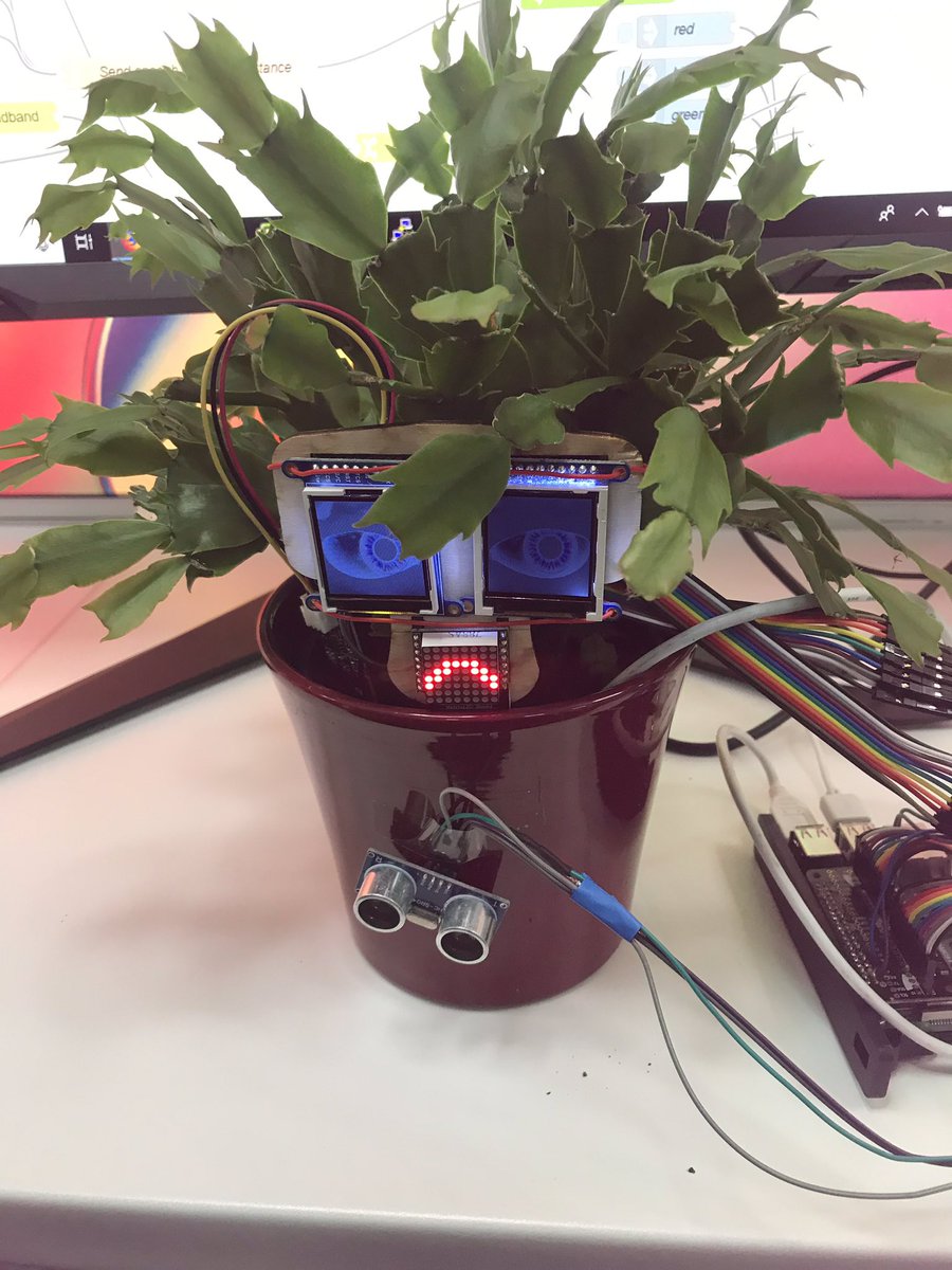 kate209ross's tweet photo. #Ignite #TechDay a talking plant what more could you need?! @citygateway @IBMCareersUKI https://t.co/LBFVwqDjsQ