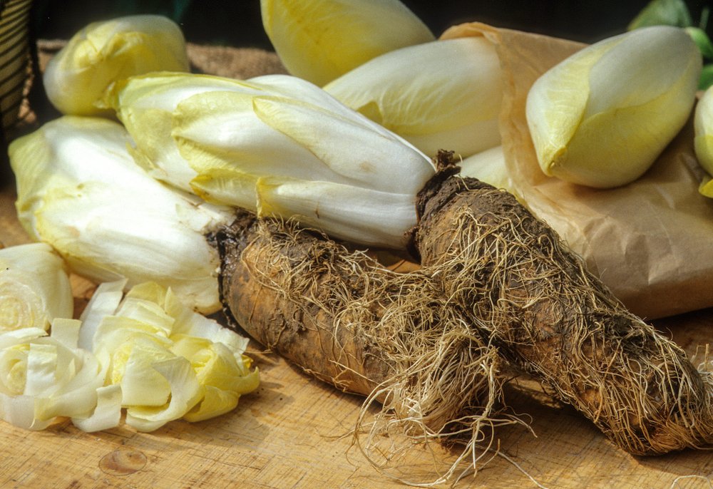 We gaan weer vier nieuwe projecten opstarten van banaan, witloofwortel, gefermenteerde groenten en drafkoekjes. Ook interesse om voedselverspilling tegen te gaan? Neem contact met ons op. foodfromfood.eu