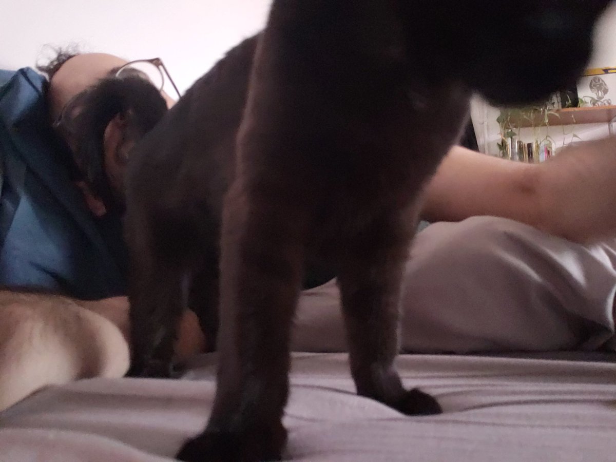 we also tried taking selfies this morning