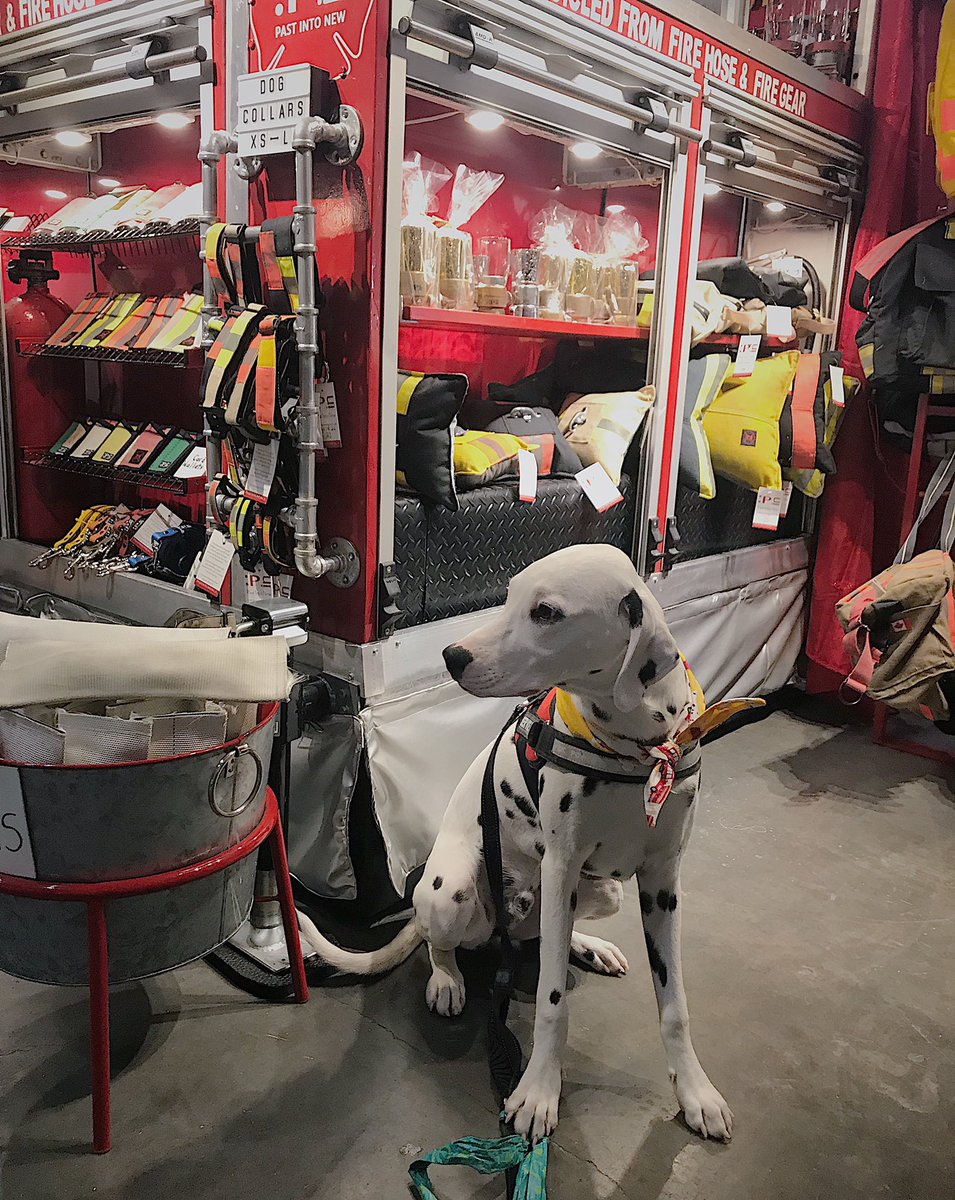 PastIntoNew's tweet photo. One of a Kind day 3 is underway! 
@spottedarson getting put to work on our little fire engine! 
Booth A14 10am-9pm 
#pastintonew #firebag #recycledfiregear #recycledfirehose #firefighterbag #recycled #firefighter #pastintonewtrailer #handmade #sustainable #ooak19 https://t.co/CXO3fhcg8B