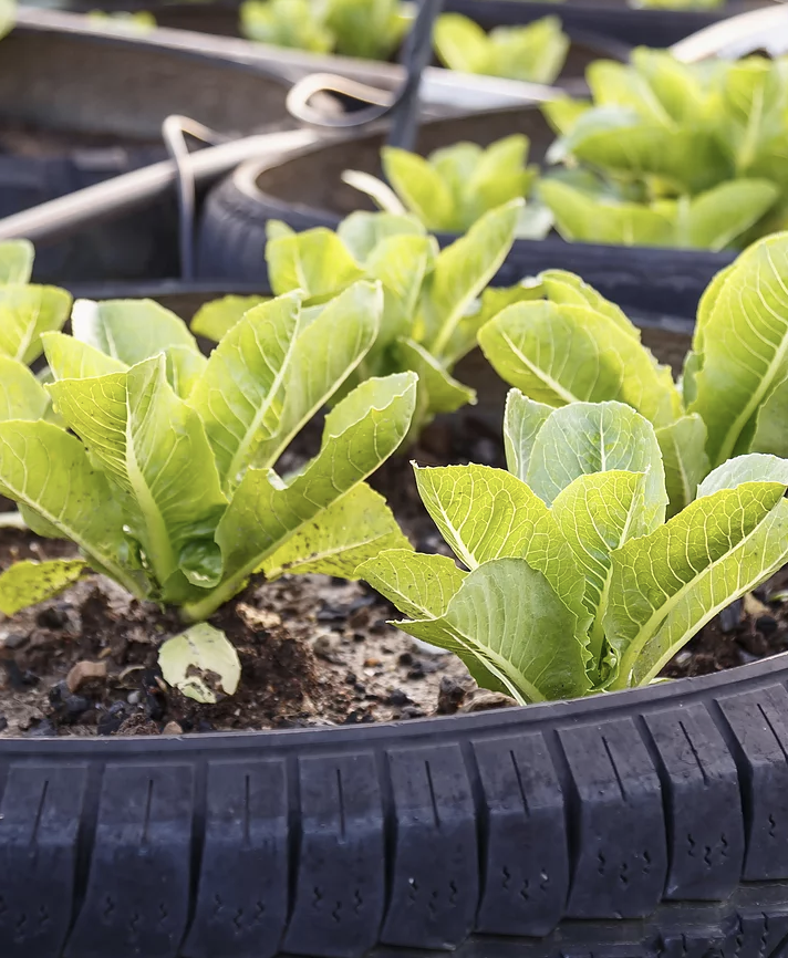 ResolveConserve's tweet photo. Want to do your part to address climate change? After a Resolve Conservation Life Cycle Assessment of your product or service, we can help you identify hotspots for reducing your impact through material and behavioral innovation. https://t.co/sEX4gHzPOH #resolveconservation https://t.co/DMjnA2ftM1