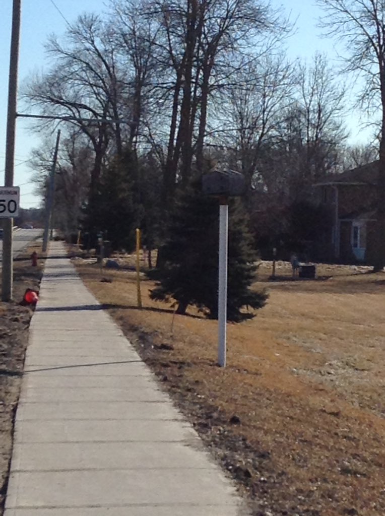 livelovemath314's tweet photo. We're dedicated to spend 75 minutes each morning to being outdoors. This is how we contribute to #EarthHour @scdsboutdoors @SCDSBey https://t.co/akgqLW6w7h
