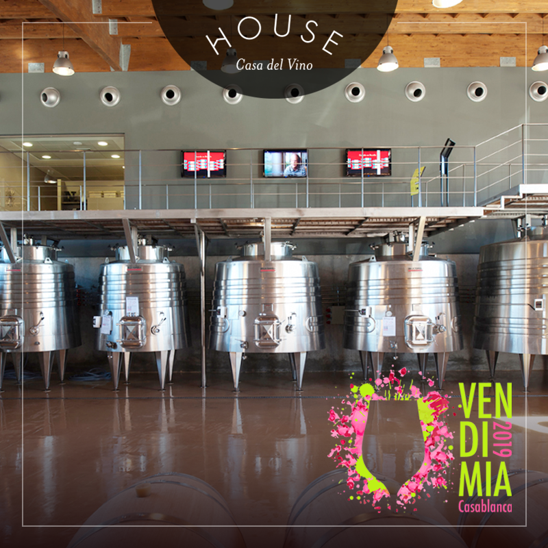 ¡Este fin de semana ven a disfrutar de la fiesta del vino! Encuéntranos nuestro stand en la Vendimia de Casablanca en el estadio municipal.