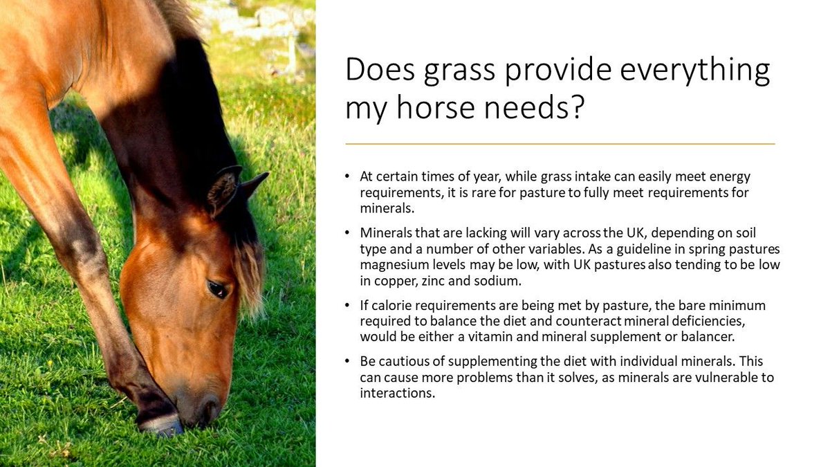 practicaleqnutr's tweet photo. #knowyourhorse #equinenutrition #equinenutritionmatters #horsescout #springgrass #gooddoers #foragefirst https://t.co/ZNZlke6gZQ