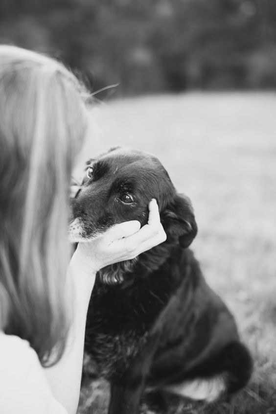 Vida_1199's tweet photo. 💌

They are our soul mates.
Our constant companions.
They occupy the most special places within our hearts.

#VidaTweets1199 https://t.co/5aIVnTodVR