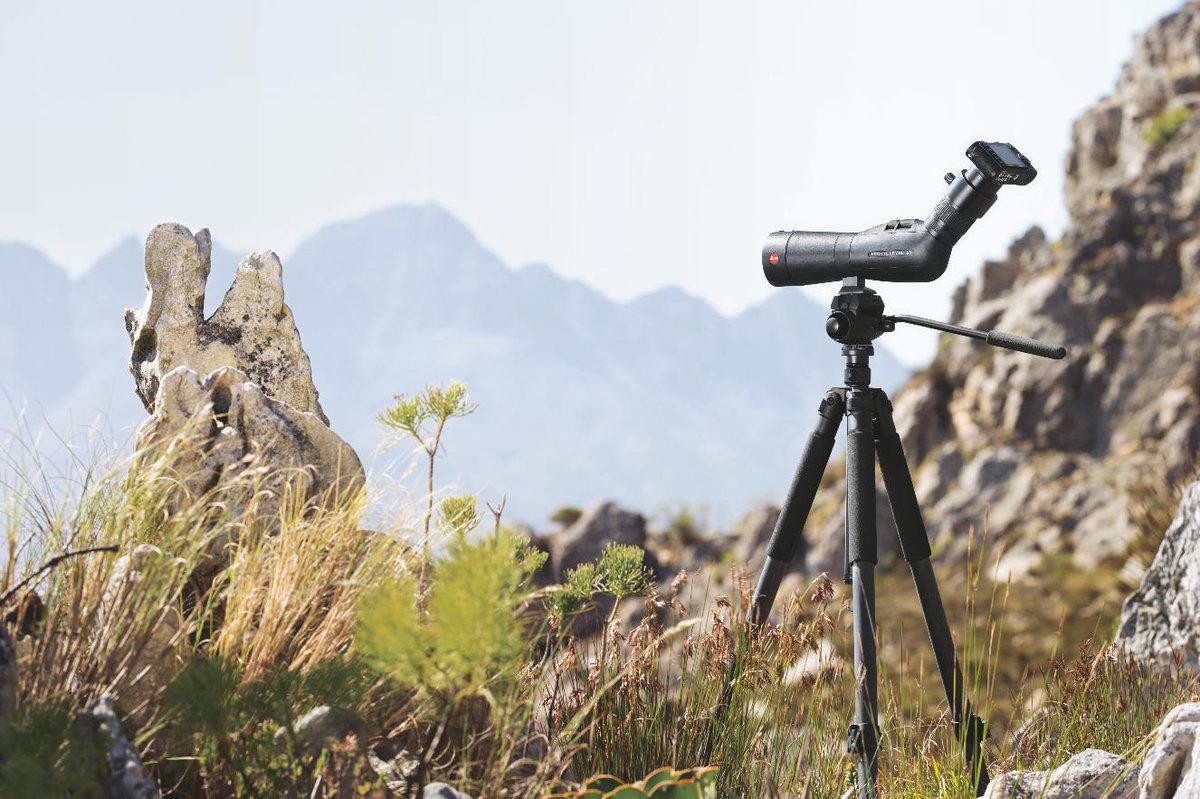LeicaBirding's tweet photo. What's your favorite place for nature observation?
#LeicaNature #APOTelevid https://t.co/8GBXa71Z3u