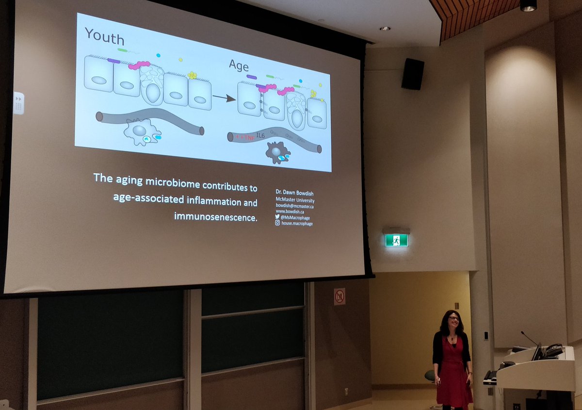 Fascinating talk by @MsMacrophage showing us why we need to take care of our microbiome to slow aging! #gutinflammation @uOttawaMed #CI3symposoum