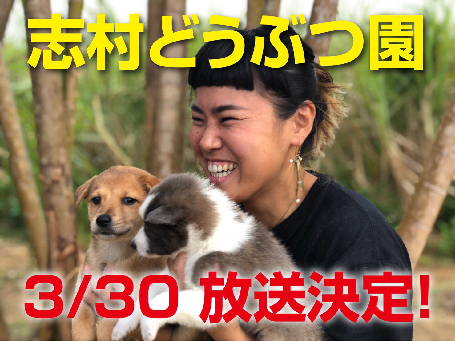 宮古島save The Animals 志村どうぶつ園の放送 明日です 19 00 の2時間スペシャルです 時間内の15分程度ですが放送されます 皆さん是非見てください 沖縄県の放送 は4 の土曜に再放送されます T Co O0qtwch21w Twitter