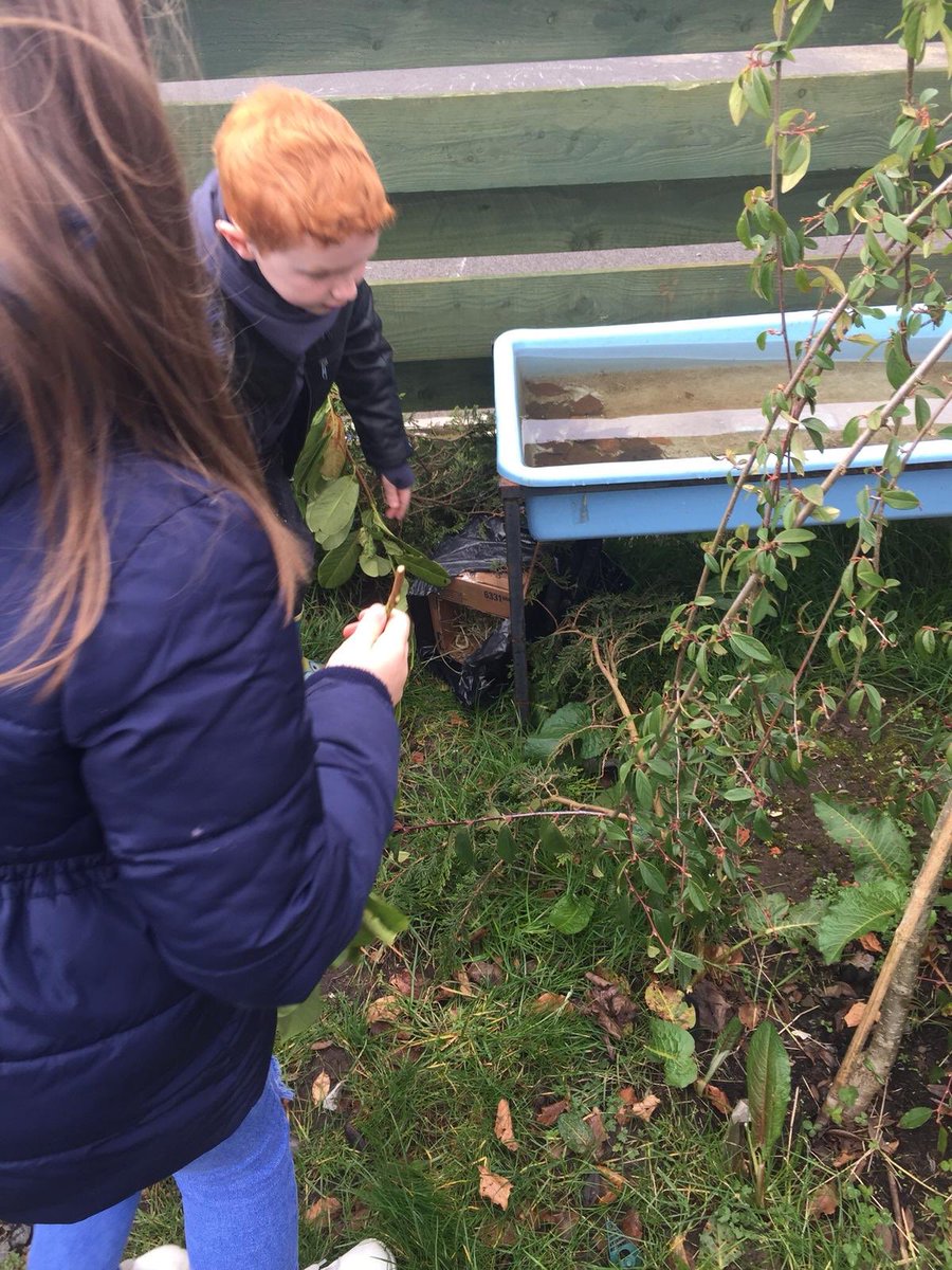 FenwickPrimary's tweet image. Primary 3 went out in to the garden for earth hour 🌍. We designed and built a home for a hedgehog and we hid it in a south facing position. We also found the best place to put our butterfly home and moth station. #RSPB_Learning #EarthHour2019