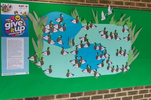 BCCSTnL's tweet photo. Our amazing #duck display for our #Lent2019 fundraising for @CAFOD So proud of our students for raising nearly £2000 already! #inspiration @CAFODSchools https://t.co/ryqbNJM8Ur