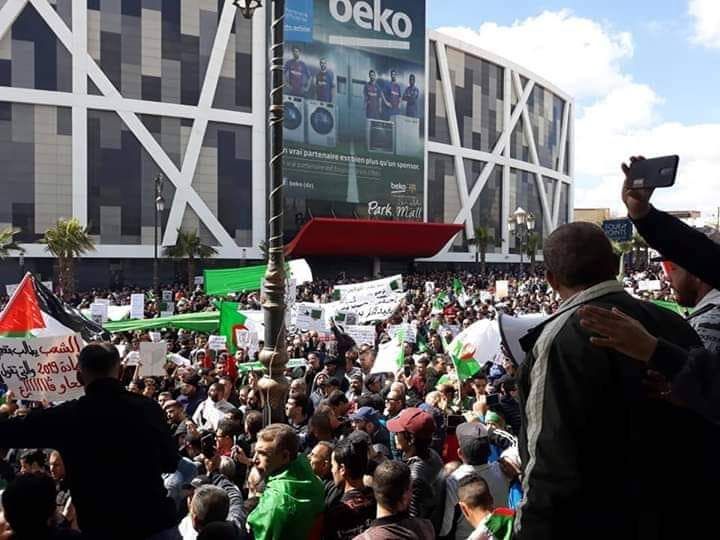 ObservAlgerie's tweet photo. Marche du #29_Mars : Sétif en ce moment.
⠀
➡️➡️Suivez le direct : https://t.co/btauWlSAPb⠀
#Algérie #Alger #حراك_29_مارس #الماده_102 #102_de_la_constitusion #Bouteflika #Gaid_Salah #manifestation https://t.co/ZrgjmfbdXs