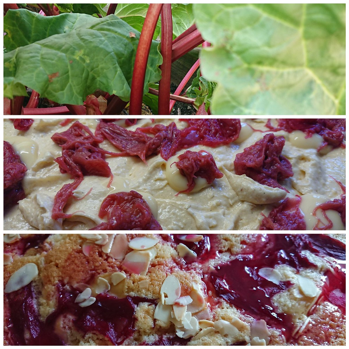 TheNorthEnd tweet media