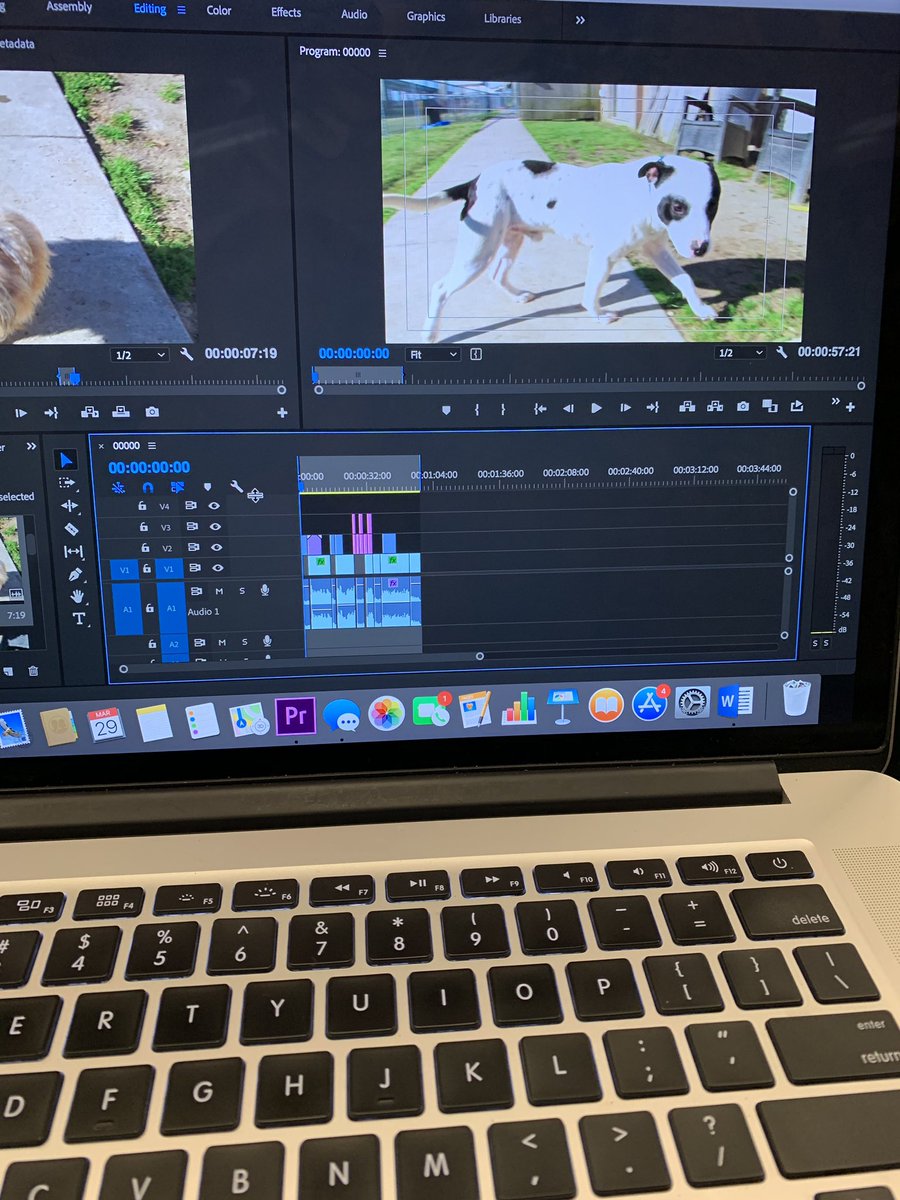 alexusdukes1's tweet photo. Adding the final touches to my news story about the potential dog park coming to the parish for Wake Up With Dukes and Dom #Woof @presstheplay https://t.co/E4j7iBUZ1y