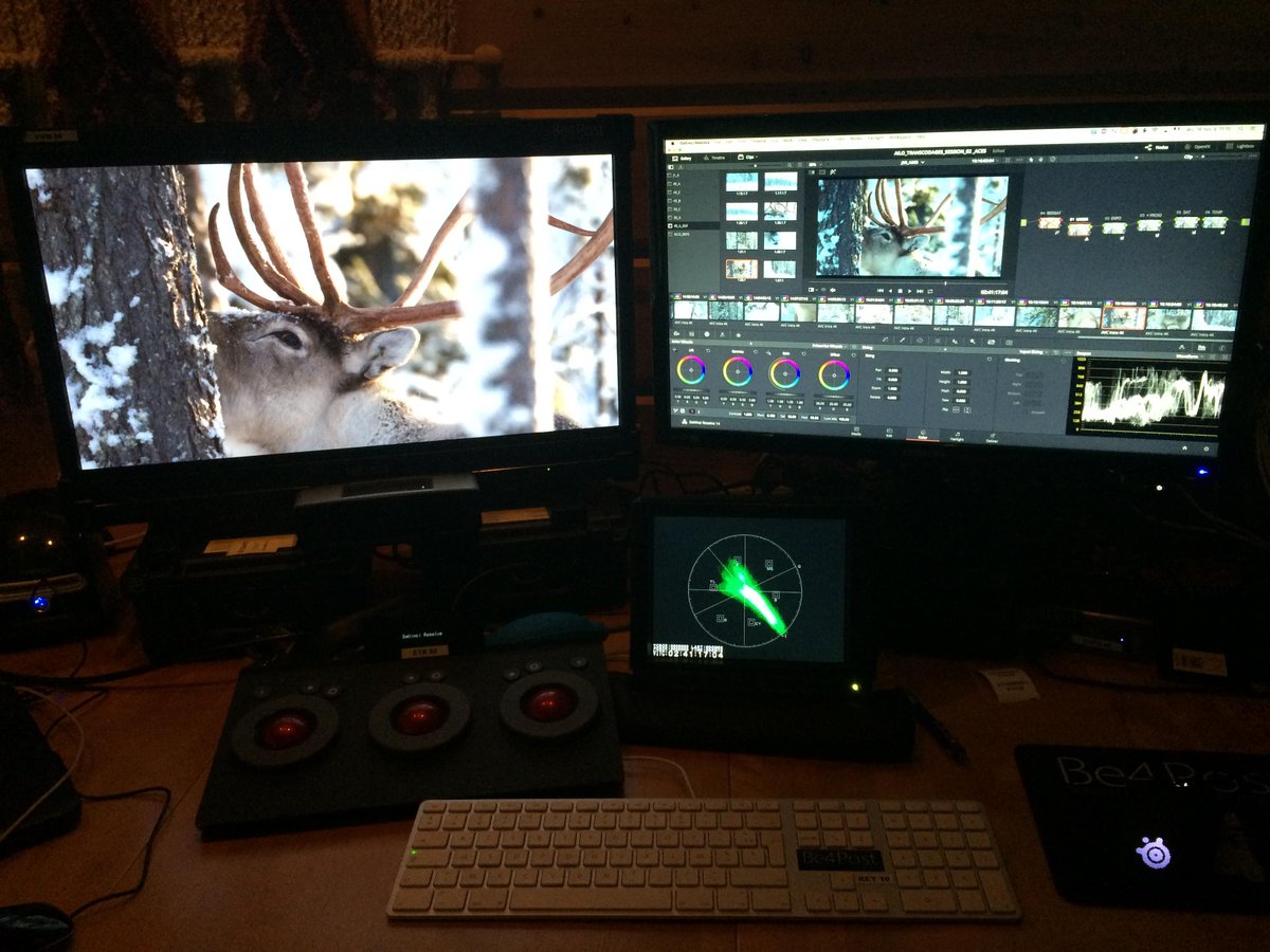 Be4Post's tweet photo. Merci à Stephane @stefpixeldoctor  pour ces jolies photos d"Ailo: une odyssée en Laponie" de Guillaume Maidatchevsky toujours en salles ;-)
DOP: Daniel Meyer
DIT: Stéphane Azouze- Eduardo Fraschini 🦌 🐾🌲 #borsalinoproductions #onseteverywhere #be4post https://t.co/u0uKelgHZb