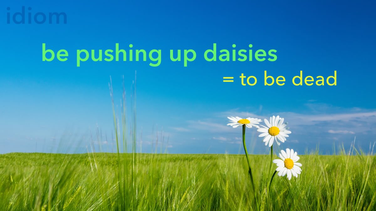 EBDictionary's tweet photo. Idiom: be pushing up daisies 🌼

= to be dead

We'll all be pushing up daisies by the time the government balances the budget.

 https://t.co/m4N3MMv49e #ESL #EFL #ELL #TEFL #TESOL #Idioms #LearnEnglish https://t.co/nsfoaxBMBh