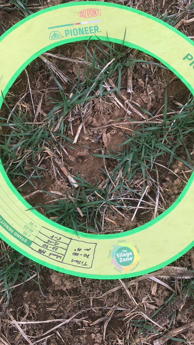 Jonathan Rotz tweet media