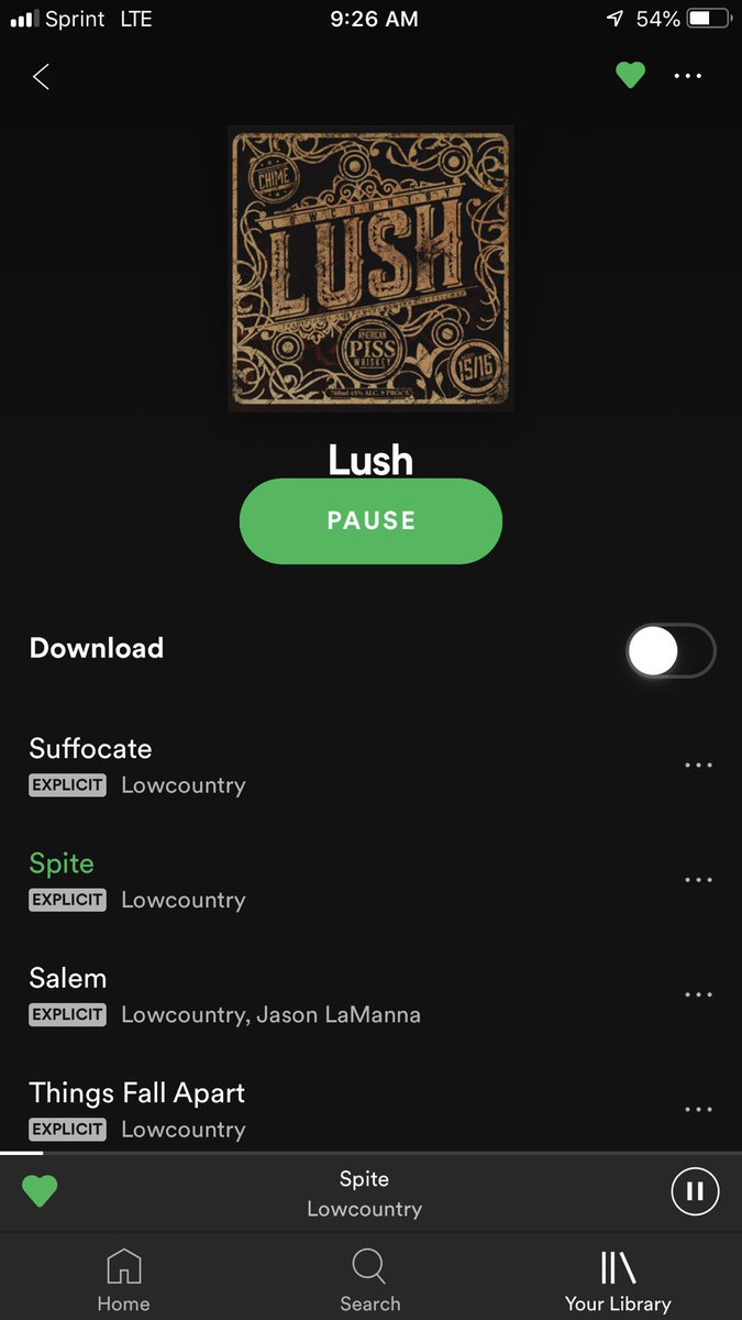 Our new EP “Lush” is officially live! Available virtually everywhere! Go check it out and come see us play tonight in Valparaiso, IN!

#Lush
#LowcountryNWI
#Lowcountry2K19