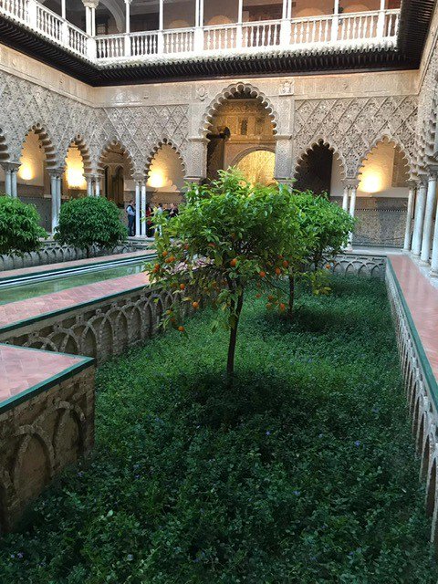 ACETCorkIreland's tweet photo. Our CEO @omigieuacet attending the fabulous @ialc_languages workshop in beautiful Seville. Working with only the best language schools in the world #ialc2019 #acet #iloveacet #boutiquelanguageschool #bestlanguageschools #workshops #qualityagents #qualityenglish https://t.co/RcRQb9xQ3K