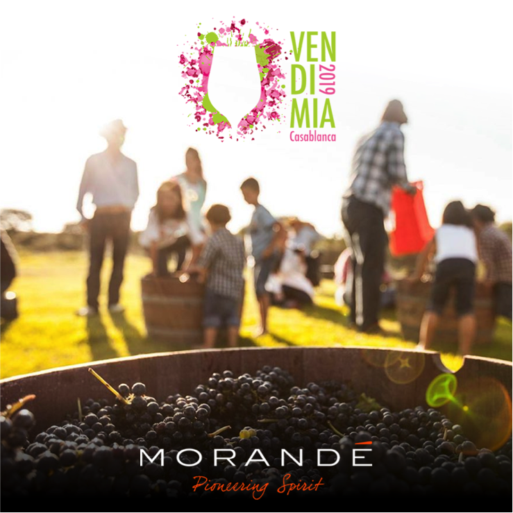 ¡Ven a visitar nuestro stand en la Vendimia de Casablanca este sábado 30 y domingo 31 de marzo! en el Estadio Municipal de Casablanca.