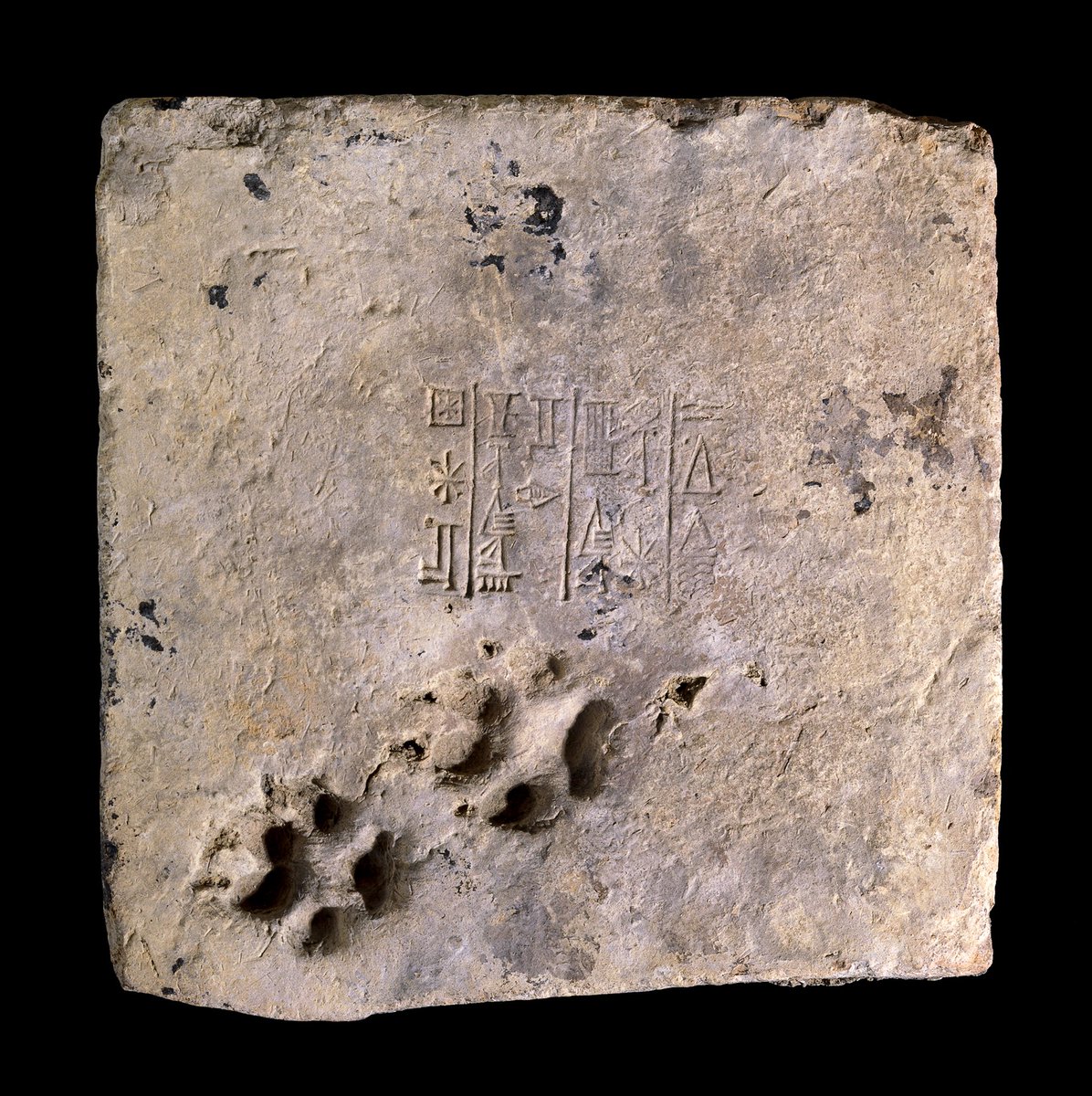 britishmuseum's tweet image. 4,000 years ago, a dog left its pawprints in this Mesopotamian brick 🐾

It’s also stamped with cuneiform text that includes the name of Ur-Nammu, ruler of Ur (in the south of modern-day Iraq) between about 2112–2095 BC ow.ly/pR4Z30ofkqO