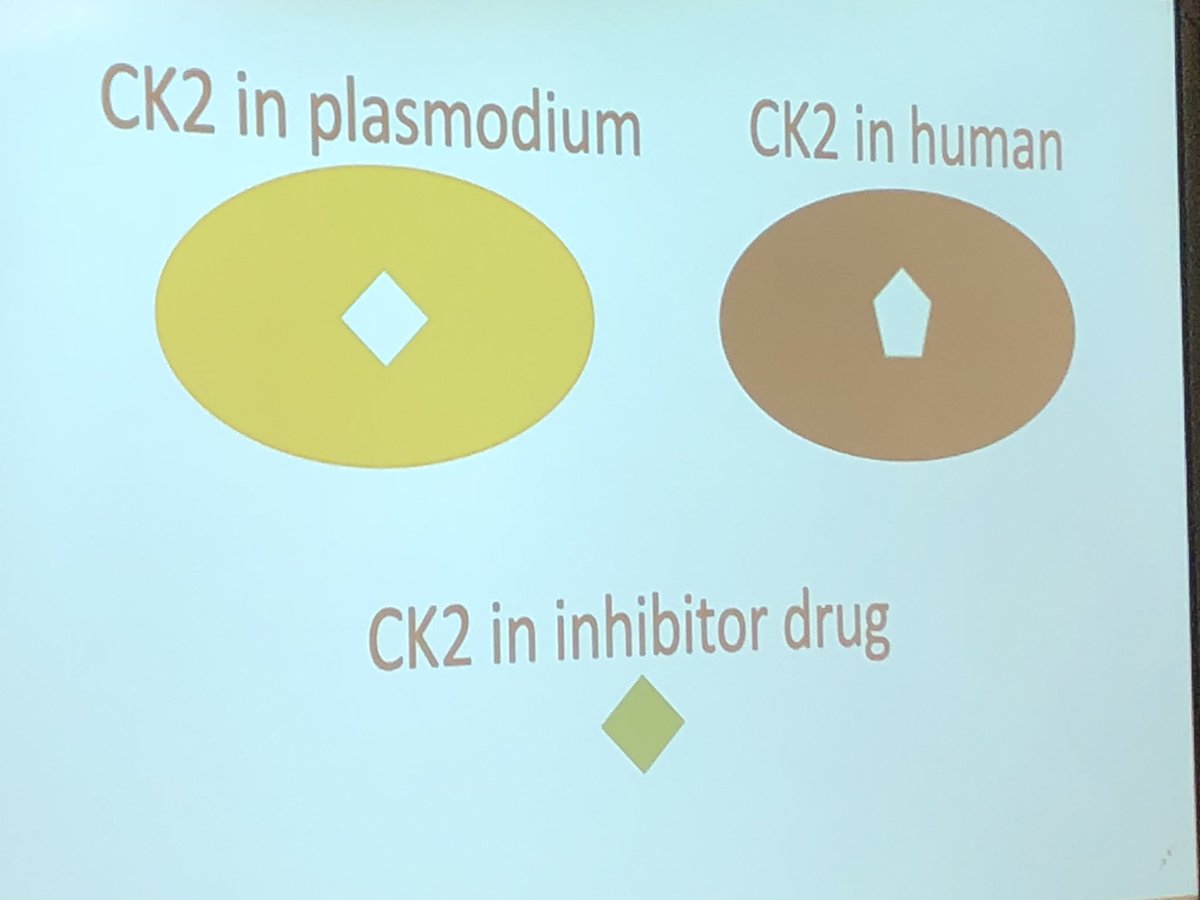cburesearch's tweet photo. Thesis and Major Project SnapShot @cbu #CBUStudentResearch @CBUSU
Yanjun Dong @SSOB_CBU #MBAinCED “CK2 Crystallization” supervised by David Ruiz-Carrillo https://t.co/oLhtZ64YbO