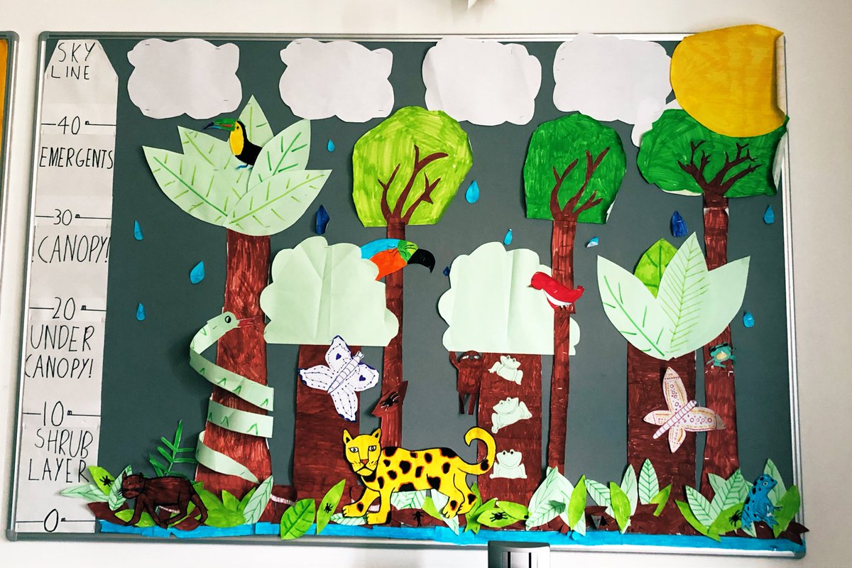 ElginAcGeog's tweet photo. 2.6’s Rainforest display. A very creative end to the term....Happy Holidays! #EAgeography #TeamEA https://t.co/d2ehv8CBOI