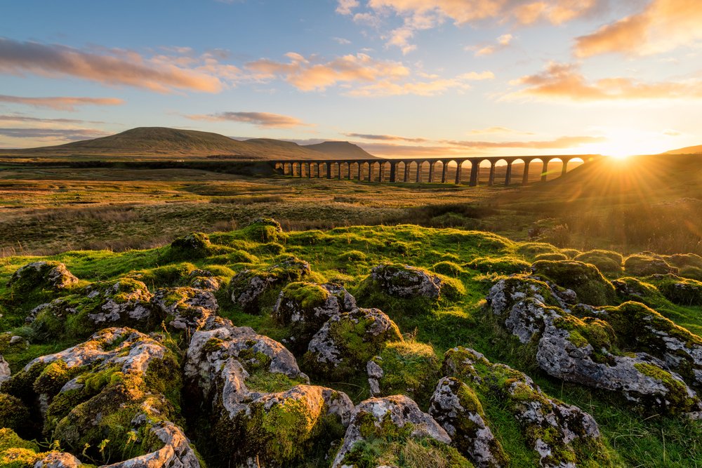 TheLittleDomain's tweet image. The landscape of Yorkshire is so beautifully varied, there will be something to delight and excite any visitor.

Start your next adventure today...
bit.ly/2BYUqHa