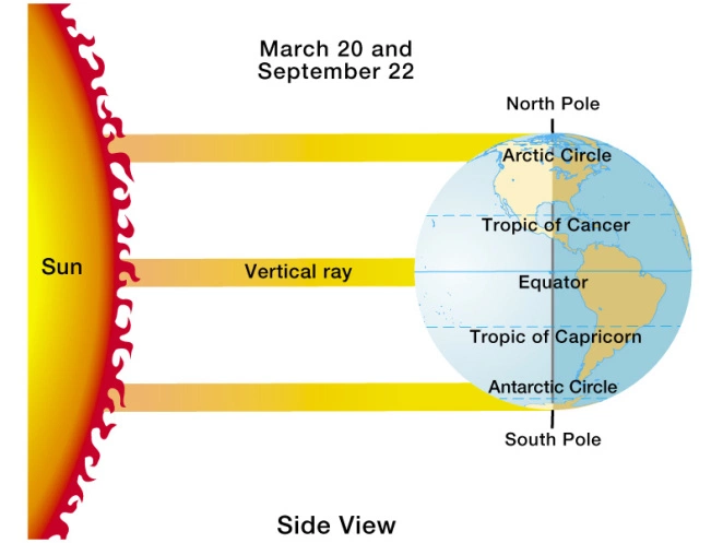GlobeDisproven's tweet photo. They show you all angles of the sunrise/sunset are close to 90/270 degrees on the solar equinox.
GUESS WHAT THAT MEANS🌎#GlobeDebunked!:
EVERYONE on a globe WHO HAS a SUNRISE/SUNSET SHOULD SEE SUN RISE/SET @ THE SAME ANGLE AS ALL ELSEWHERE ON THE GLOBE EVERY DAY 🗣️👂 #FlatEarth https://t.co/d6JX1bEgtS