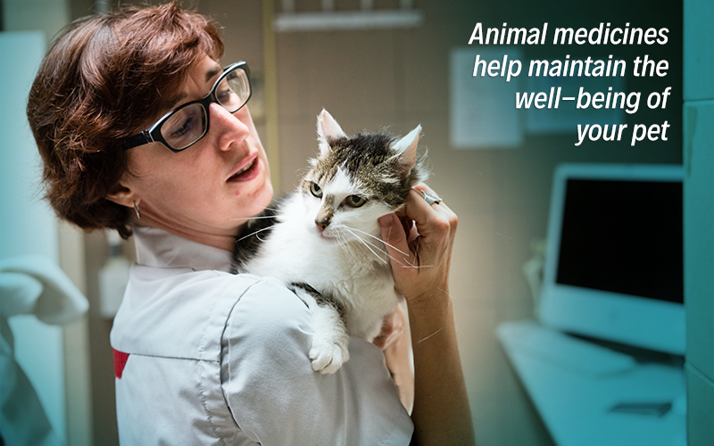 animalhealthEU's tweet photo. Pets need good care and attention when they're sick, just like we do! 🤒🐶🐱
Following your vet's advice is essential to ensuring that your pet gets better as soon as possible. 👩‍⚕️👨‍⚕️ #PetMonth https://t.co/hZynoUd3YY