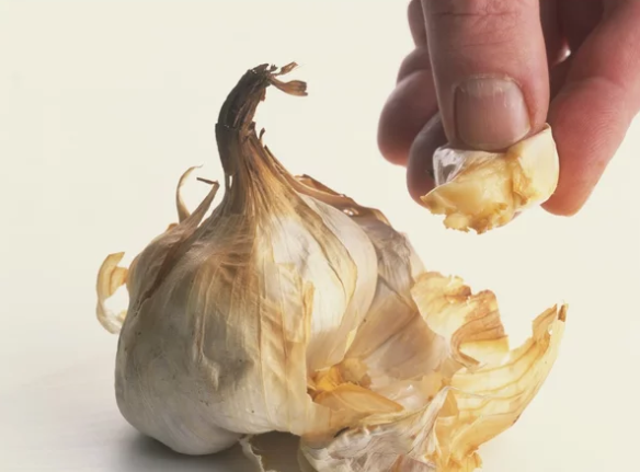 NiftyPlace's tweet photo. Love my garlic, loved this little article
https://t.co/OLoG2UubeS https://t.co/wLDISyCEfL