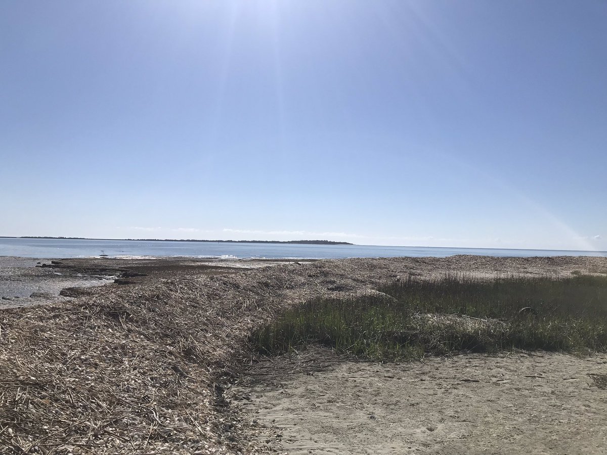 John Faison tweet media