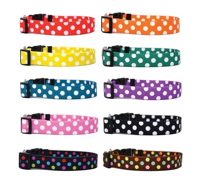 Hot Dog Collars tweet media